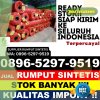 Distributor Rumput Imitasi Sawang.jpg