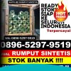 Penjual Rumput Palsu Asam Jujuhan.jpg