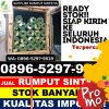 Jual Rumput Sintetis Conggeang.jpg