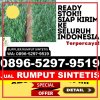 Grosir Rumput Imitasi Krian.jpg