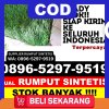 Distributor Rumput Plastik Kabupaten Langkat.jpg