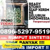 Jual Rumput Palsu Cantigi.jpg