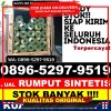 Penjual Rumput Palsu Bacan Timur Tengah.jpg