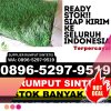 Pusat Rumput Plastik Kedondong.jpg