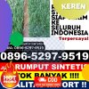 Penjual Rumput Plastik Merlung.jpg