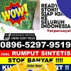 Agen Rumput Palsu Jelimpo.jpg