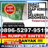 Distributor Rumput Plastik Kabupaten Nias Barat.jpg