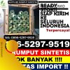 Jual Rumput Palsu Cibaliung.jpg