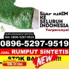 Grosir Rumput Plastik Dungkek.jpg