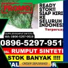 Agen Rumput Palsu Juhar.jpg