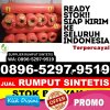 Distributor Rumput Imitasi Sempor.jpg