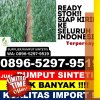 Penjual Rumput Plastik Modo.jpg