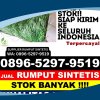 Distributor Rumput Plastik Kabupaten Pulang Pisau.jpg