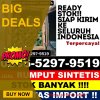 Jual Rumput Palsu Cihampelas.jpg