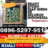 Penjual Rumput Palsu Bandar Huluan.jpg