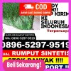 Grosir Rumput Plastik Galesong Selatan.jpg