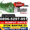 Agen Rumput Palsu Kabupaten Bangkalan.jpg