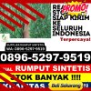 Grosir Rumput Imitasi Lamandau.jpg