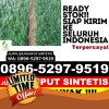 Penjual Rumput Plastik Muara.jpg