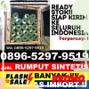 Gudang Rumput Imitasi Batu Aji.jpg