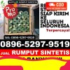 Jual Rumput Palsu Cikoneng.jpg