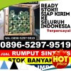 Penjual Rumput Palsu Bangsri.jpg