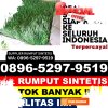 Agen Rumput Palsu Kabupaten Ciamis.jpg