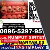 Distributor Rumput Imitasi Siantar.jpg