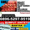 Agen Rumput Plastik Sepatan Timur.jpg