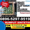 Gudang Rumput Imitasi Benai.jpg