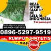 Distributor Rumput Plastik Kalikotes.jpg