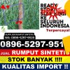 Penjual Rumput Plastik Nalo Tantan.jpg