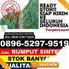 Grosir Rumput Imitasi Limbur Lubuk Mengkuang.jpg