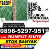 Grosir Rumput Imitasi LolowaU.jpg