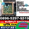 Gudang Rumput Imitasi Blambangan Umpu.jpg