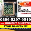 Penjual Rumput Palsu Batu Putih.jpg