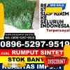 Grosir Rumput Plastik Haranggaol Horison.jpg