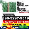 Grosir Rumput Imitasi Lubuk Linggau Utara Ii.jpg