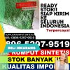 Jual Rumput Sintetis Halongonan.jpg