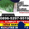 Agen Rumput Palsu Kabupaten Sintang.jpg