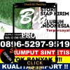 Agen Rumput Palsu Kabupaten Trenggalek.jpg