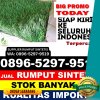 Jual Rumput Palsu Dolok Batu Nanggar.jpg