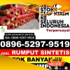 Penjual Rumput Plastik Pademawu.jpg