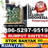 Penjual Rumput Palsu Binangun.jpg