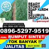 Pusat Rumput Plastik Kurau.jpg