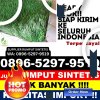 Jual Rumput Sintetis Jagoi Babang.jpg