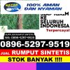 Grosir Rumput Imitasi Mangoli Utara Timur.jpg