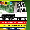 Jual Rumput Palsu Duren Sawit.jpg