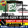 Pusat Rumput Plastik Labuan Amas Utara.jpg