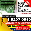 Jual Rumput Sintetis Jatibanteng.jpg